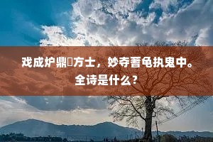 戏成炉鼎誇方士，妙夺蓍龟执鬼中。全诗是什么？