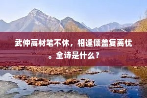 武仲高材笔不休，相逢倾盖复离忧。全诗是什么？