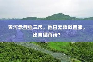 黄河赤鲤强三尺，他日无烦数置邮。出自哪首诗？