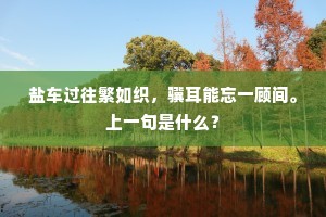 盐车过往繁如织，骥耳能忘一顾间。上一句是什么？