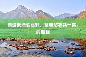 满城携酒驻高轩，楚老沾衣共一言。的解释