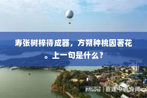寿张树梓待成器，方朔种桃因著花。上一句是什么？