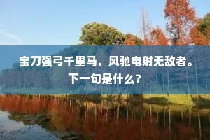 宝刀强弓千里马，风驰电射无敌者。下一句是什么？