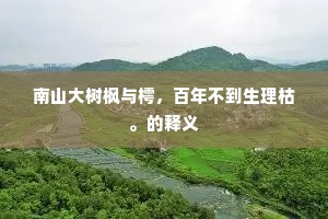 南山大树枫与樗，百年不到生理枯。的释义