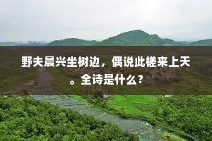 野夫晨兴坐树边，偶说此槎来上天。全诗是什么？