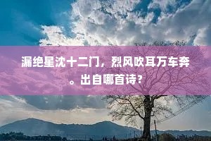 漏绝星沈十二门，烈风吹耳万车奔。出自哪首诗？