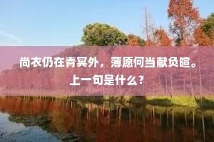 尚衣仍在青冥外，薄愿何当献负暄。上一句是什么？