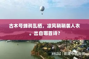 古木号蝉鸦乱栖，凉风稍稍袭人衣。出自哪首诗？