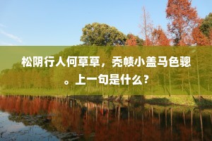 松阴行人何草草，秃帻小盖马色骢。上一句是什么？