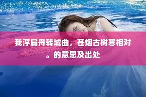 我浮扁舟转城曲，苍烟古树寒相对。的意思及出处