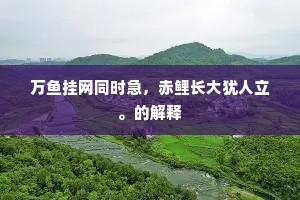 万鱼挂网同时急，赤鲤长大犹人立。的解释
