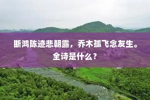 断鸿陈迹悲朝露，乔木孤飞念友生。全诗是什么？