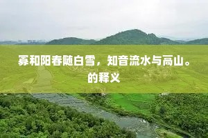 寡和阳春随白雪，知音流水与高山。的释义
