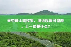 吴中辩士嗤枚叟，漫说观涛可慰颜。上一句是什么？