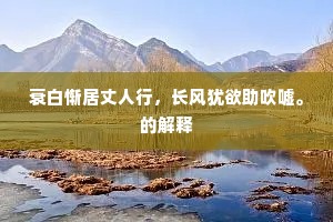 衰白惭居丈人行，长风犹欲助吹嘘。的解释