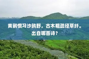 黄鹂惯习沙鸥野，古木粗疏径草纤。出自哪首诗？