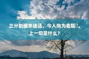 三分割据亦徒话，今人尚为羞瓶罍。上一句是什么？