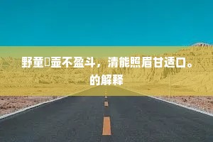 野童絜壶不盈斗，清能照眉甘适口。的解释