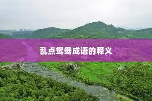 乱点鸳鸯成语的释义