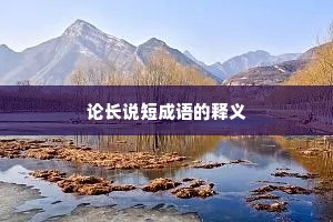 论长说短成语的释义