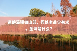 道傍滞穗如山邱，何处老翁宁有求。全诗是什么？