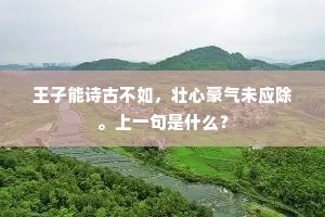 王子能诗古不如，壮心豪气未应除。上一句是什么？