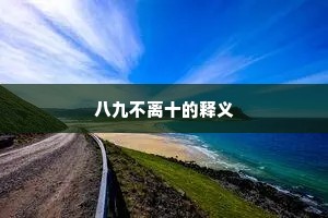 八九不离十的释义
