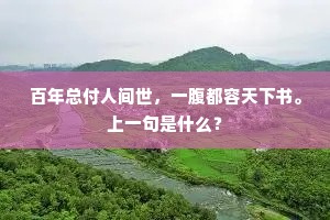 百年总付人间世，一腹都容天下书。上一句是什么？