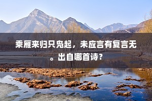 乘雁来归只凫起，未应言有复言无。出自哪首诗？