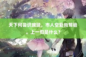 天下何会识琬琰，市人空复尚驽骀。上一句是什么？
