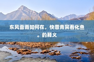 东风雷雨知何在，快意青冥看化鱼。的释义