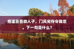 相逢喜吾故人子，门风宛存令我悲。下一句是什么？