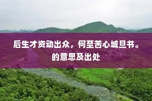 后生才资动出众，何至苦心城旦书。的意思及出处