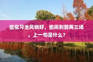 信似习池风物好，偷闲剩醉两三场。上一句是什么？