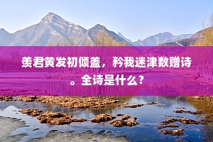 羡君黄发初倾盖，矜我迷津数赠诗。全诗是什么？
