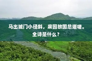马出城门小径斜，废园故国总堪嗟。全诗是什么？