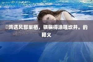 鹓鸿遇风鄙巢栖，骐骥得涂嗤坎井。的释义