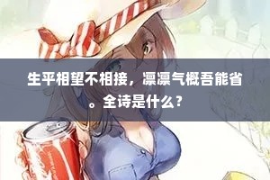 生平相望不相接，凛凛气概吾能省。全诗是什么？