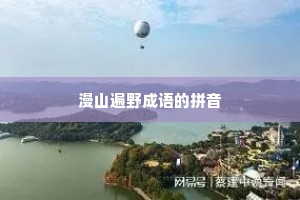 漫山遍野成语的拼音