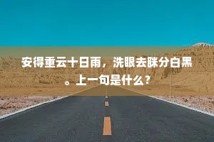 安得重云十日雨，洗眼去眯分白黑。上一句是什么？