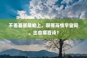 不羞暮景桑榆上，聊寄高情宇宙间。出自哪首诗？