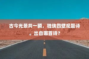 古今光景共一瞬，独绕四壁观题诗。出自哪首诗？