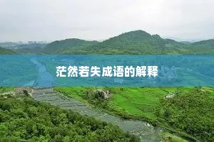 茫然若失成语的解释