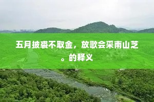 五月披裘不取金，放歌会采南山芝。的释义