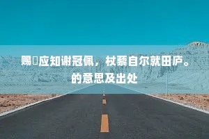 赐玦应知谢冠佩，杖藜自尔就田庐。的意思及出处