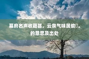 幕府名声收藉甚，云泉气味属偷閒。的意思及出处