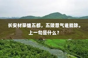 长安材豪雄五都，五陵意气谁能除。上一句是什么？