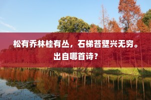 松有乔林桂有丛，石梯苔壁兴无穷。出自哪首诗？