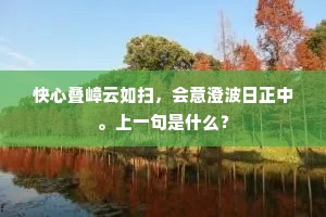 快心叠嶂云如扫，会意澄波日正中。上一句是什么？
