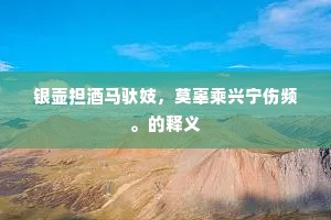 银壶担酒马驮妓，莫辜乘兴宁伤频。的释义